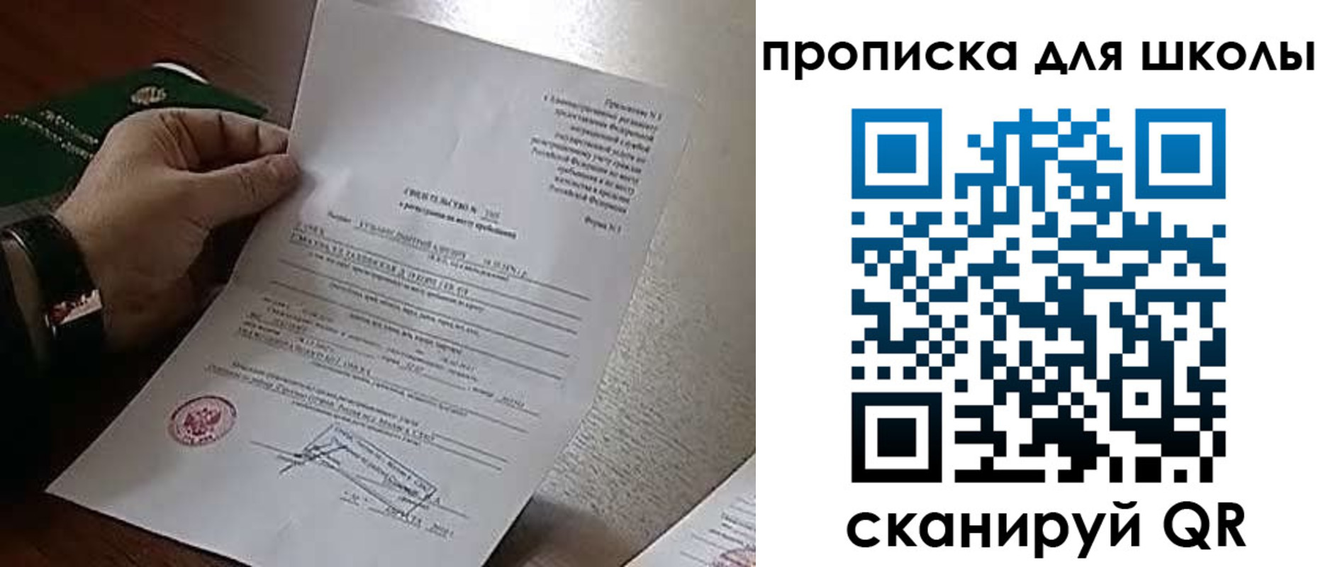 прописка ребенка в Мариинском Посаде